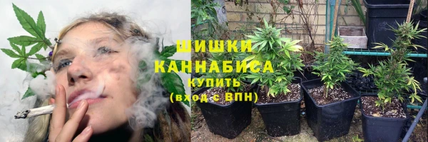 СК Абинск