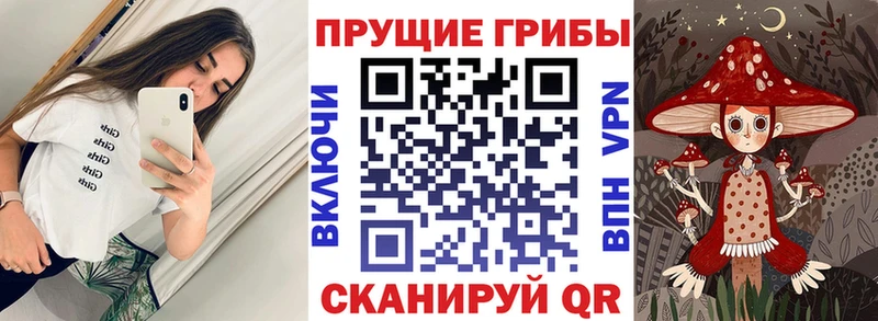 Псилоцибиновые грибы GOLDEN TEACHER  darknet клад  Магнитогорск 
