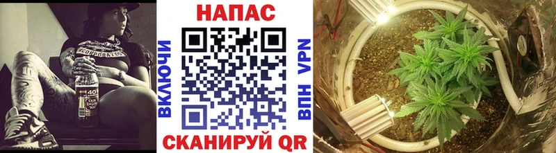 Шишки марихуана планчик Магнитогорск